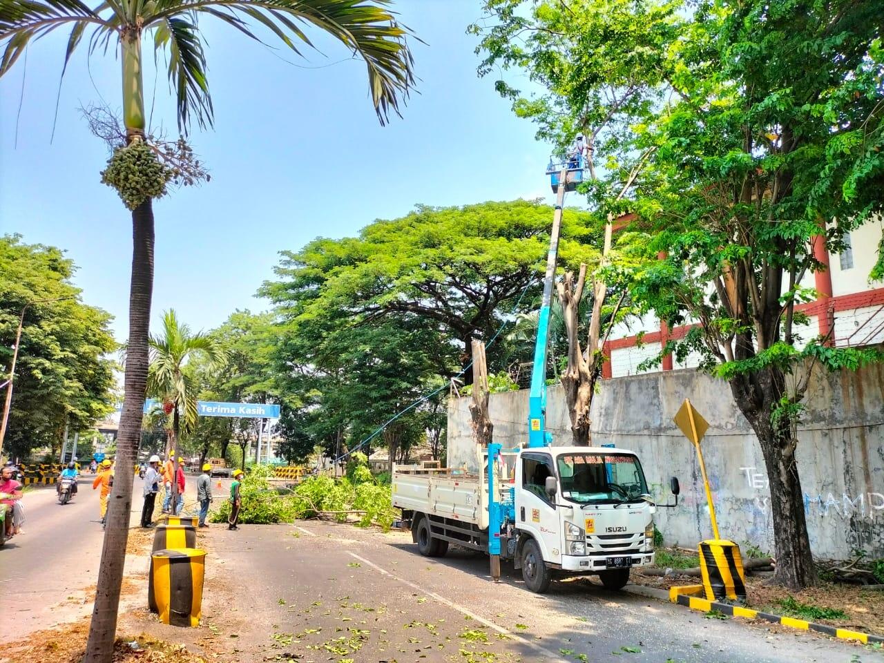 Truck Crane - TMC - Skylift | Sewa TMC Harian