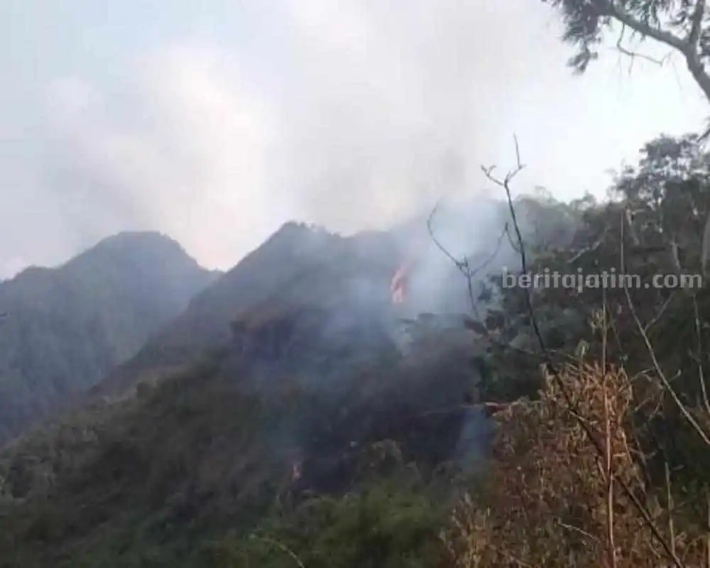 Kebakaran Gunung Arjuno-Welirang Meluas hingga Mojokerto