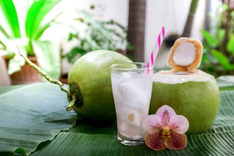 Potensi dan Peluang Bisnis Kelapa Muda: Membuka Usaha yang Segar dan Menguntungkan