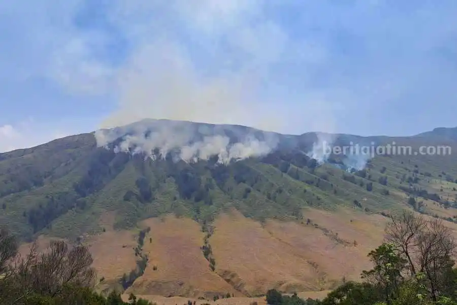 Kebakaran Meluas, Seluruh Akses Menuju Bromo Tutup Total