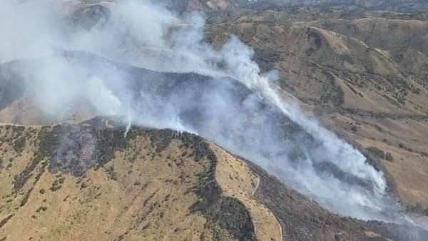 50 Hektar Bukit Teletubbies Hangus Terbakar Akibat Ulah Manusia, Ini Jadi Pelajaran!