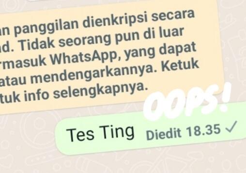 Fitur Baru WhatsApp Hadir Nih, Gan, Bikin Senang Atau Gamang?
