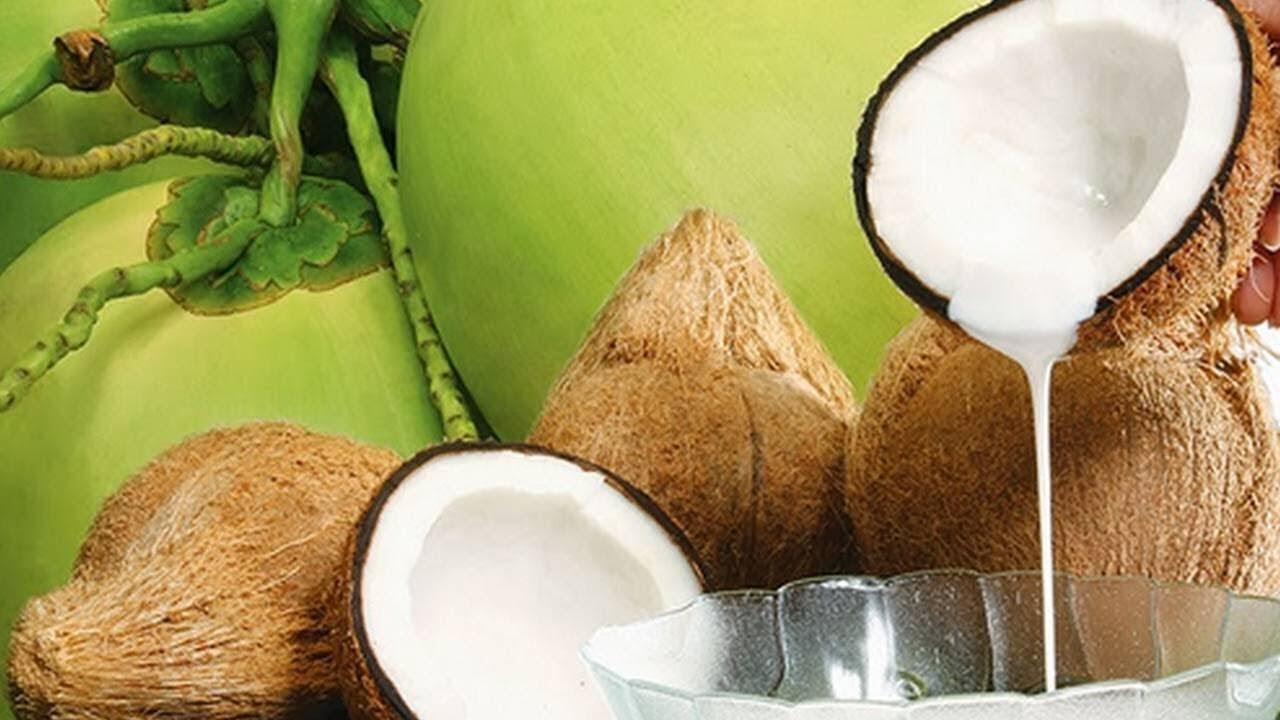 Manfaat Santan Kelapa: Kelezatan dan Kesehatan dalam Satu Bahan