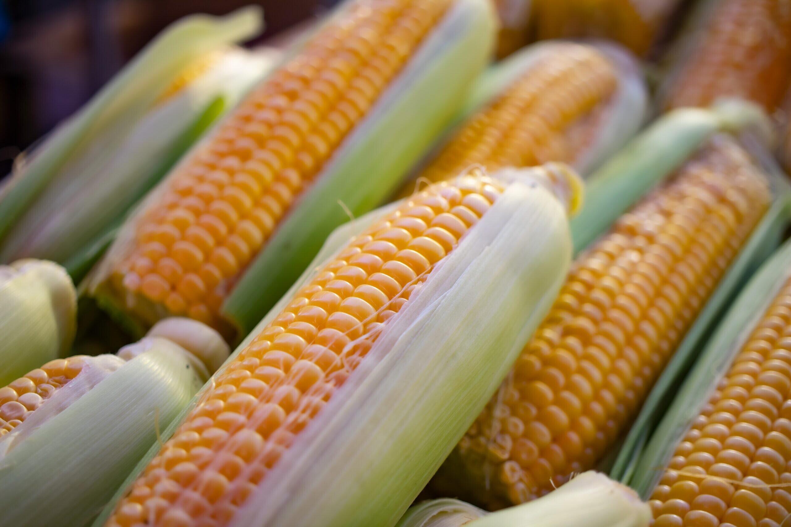 Olahan Jagung Untuk Lauk Yang Mudah Dibuat!