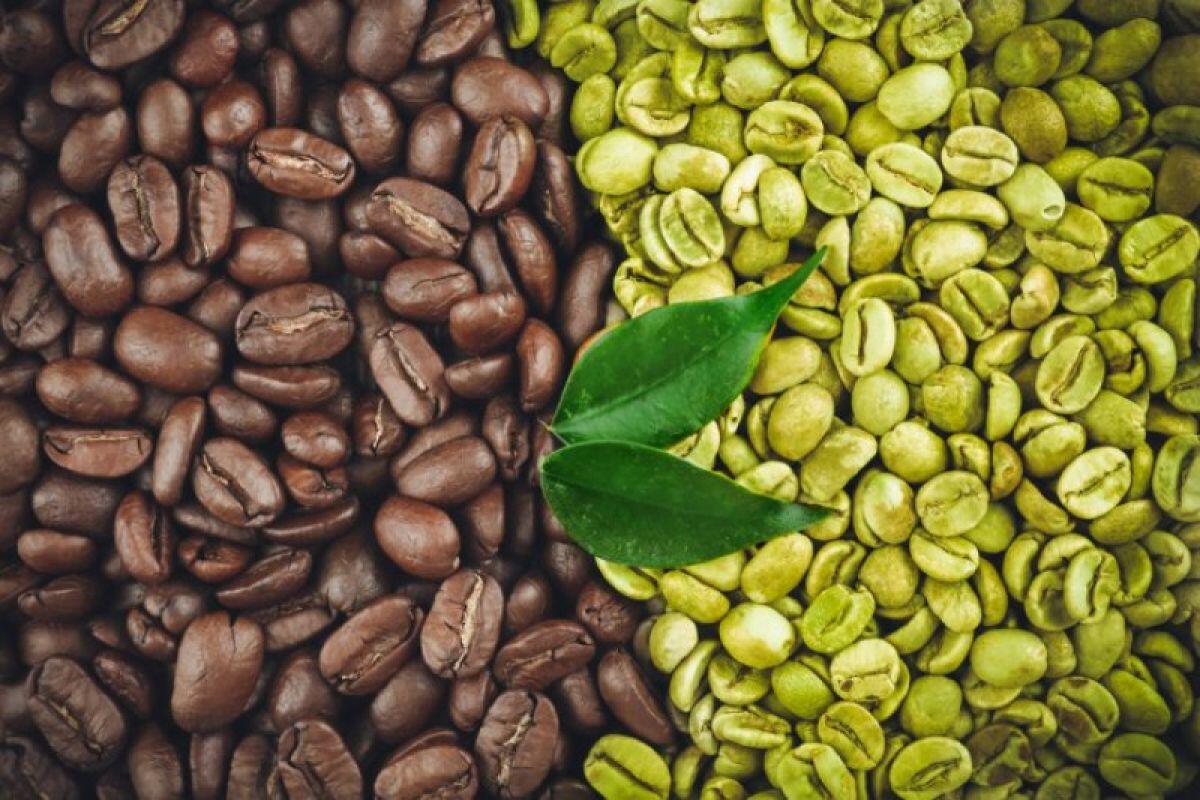 Resep Minuman Green Coffee yang Lezat Nikmati Manfaat Kesehatannya