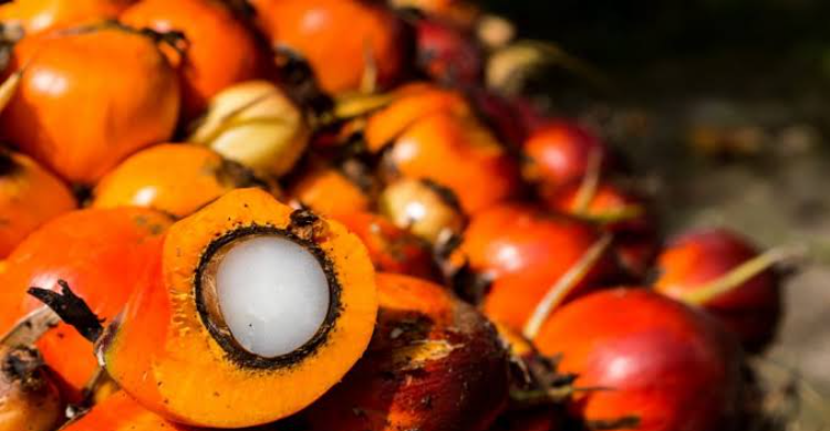 Meningkatkan Efisiensi Penggunaan Minyak Sawit Solusi Menuju Keberlanjutan