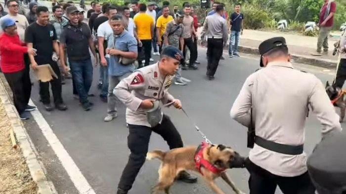 Anjing Pelacak Gigit Celana Komandan Polisi saat Simulasi Unjuk Rasa, Kok Bisa?