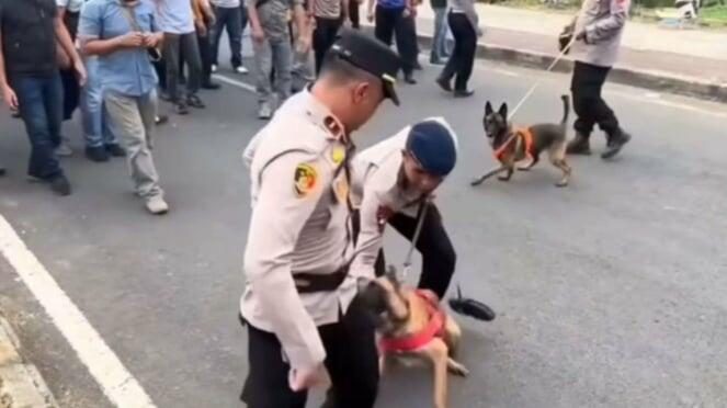 Anjing Pelacak Gigit Celana Komandan Polisi saat Simulasi Unjuk Rasa, Kok Bisa?