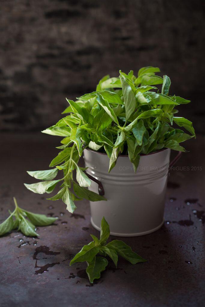 Agan Mau Turunin Tekanan Darah? Coba Taneman Ini, Gan!