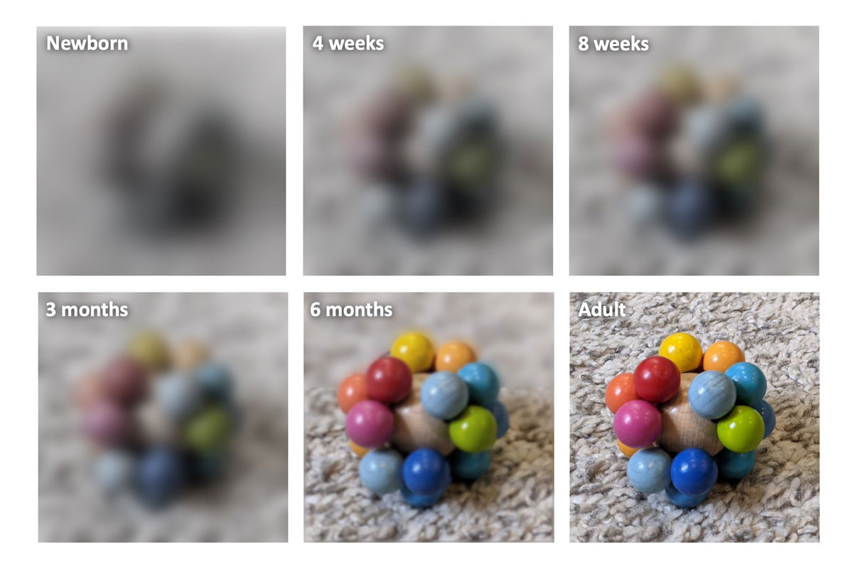 Tahap Perkembangan Penglihatan pada Bayi