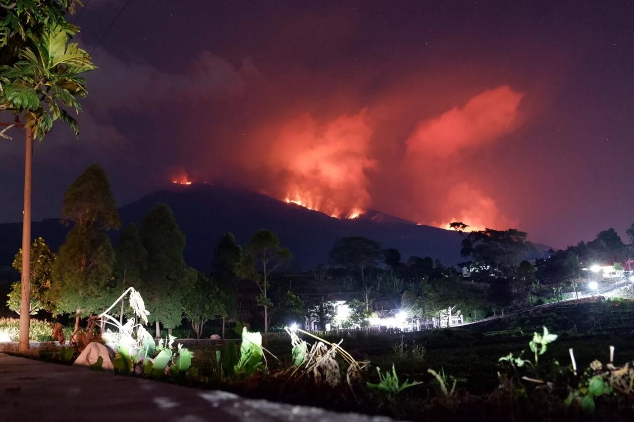 Kebakaran Gunung Lawu, Nasib Mbok Yem Pun Jadi Viral