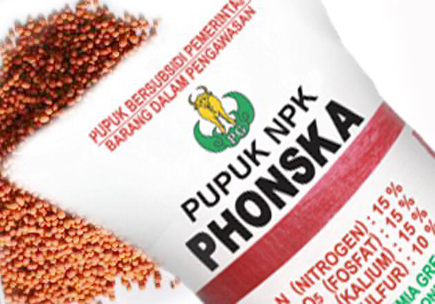 Pupuk Phonska Untuk Buah Alpukat Sangat Bagus