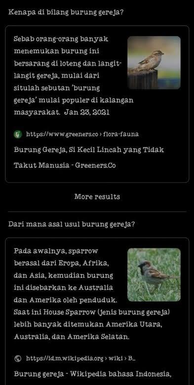 Kenapa Burung Gereja Gak Dipelihara Oleh Manusia?