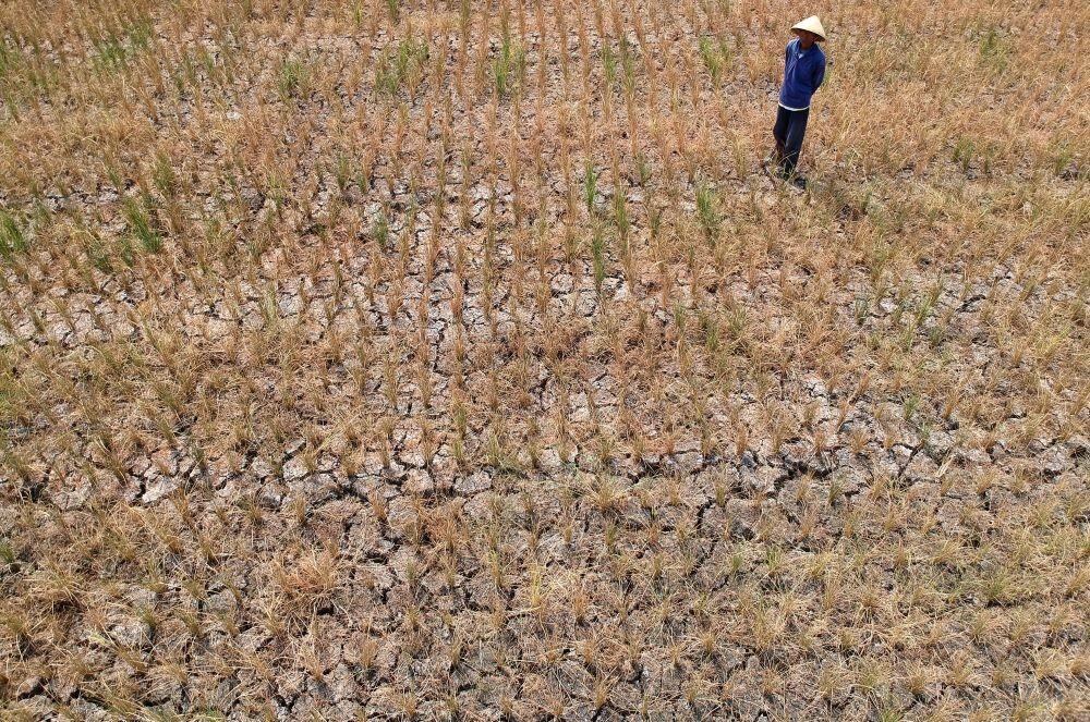 Ini Dampak Konflik SDA dan Tata Ruang bagi Perempuan 