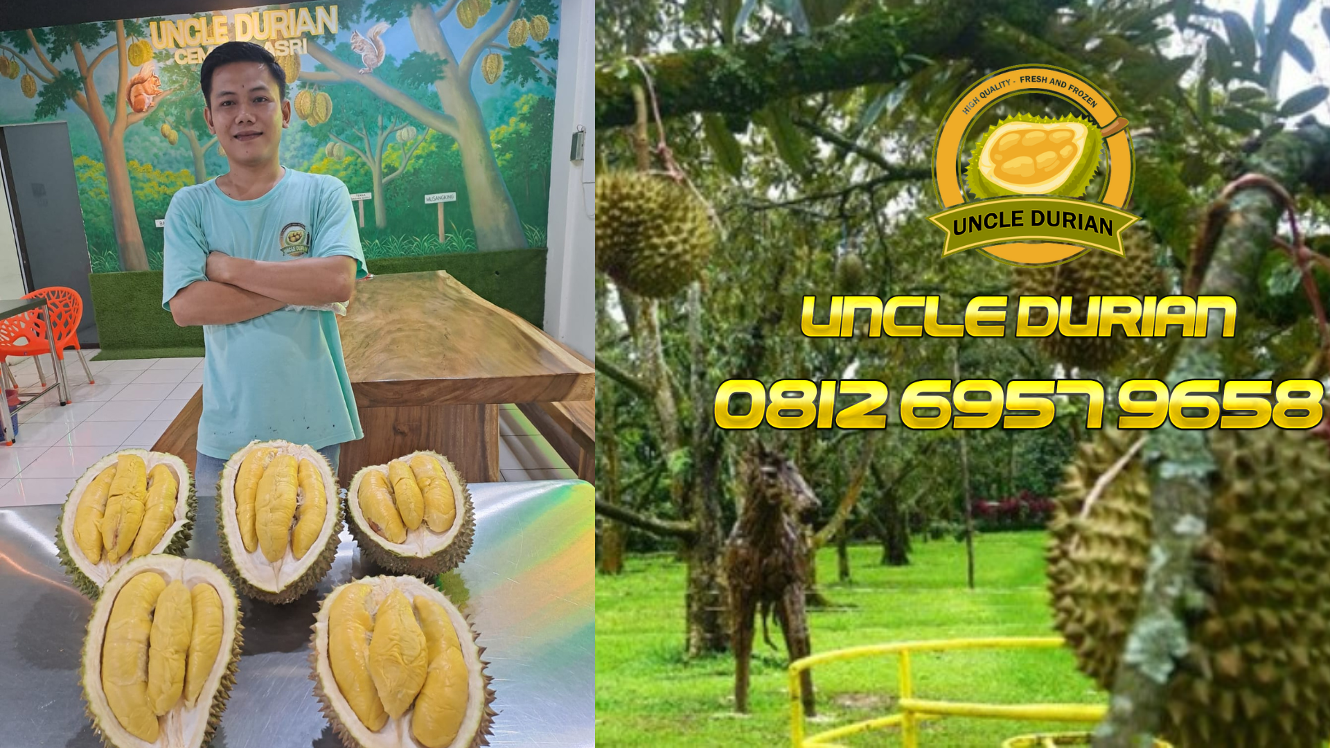 Uncle Durian: Toko Musang King Impor di Kota Medan