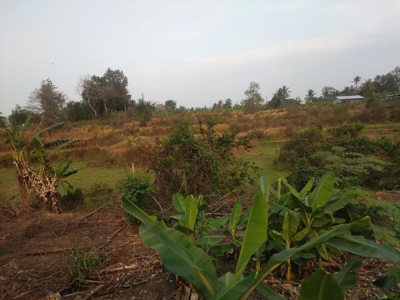 Sebentar Lagi Bulan Puasa