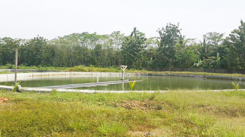 Dijual Tanah Kavling Tambak 4 Hektar di Anyer Carita Banten KASKUS