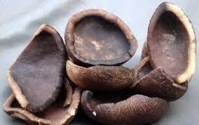 Menggali Kegunaan dan Potensi Produk Kopra Hitam