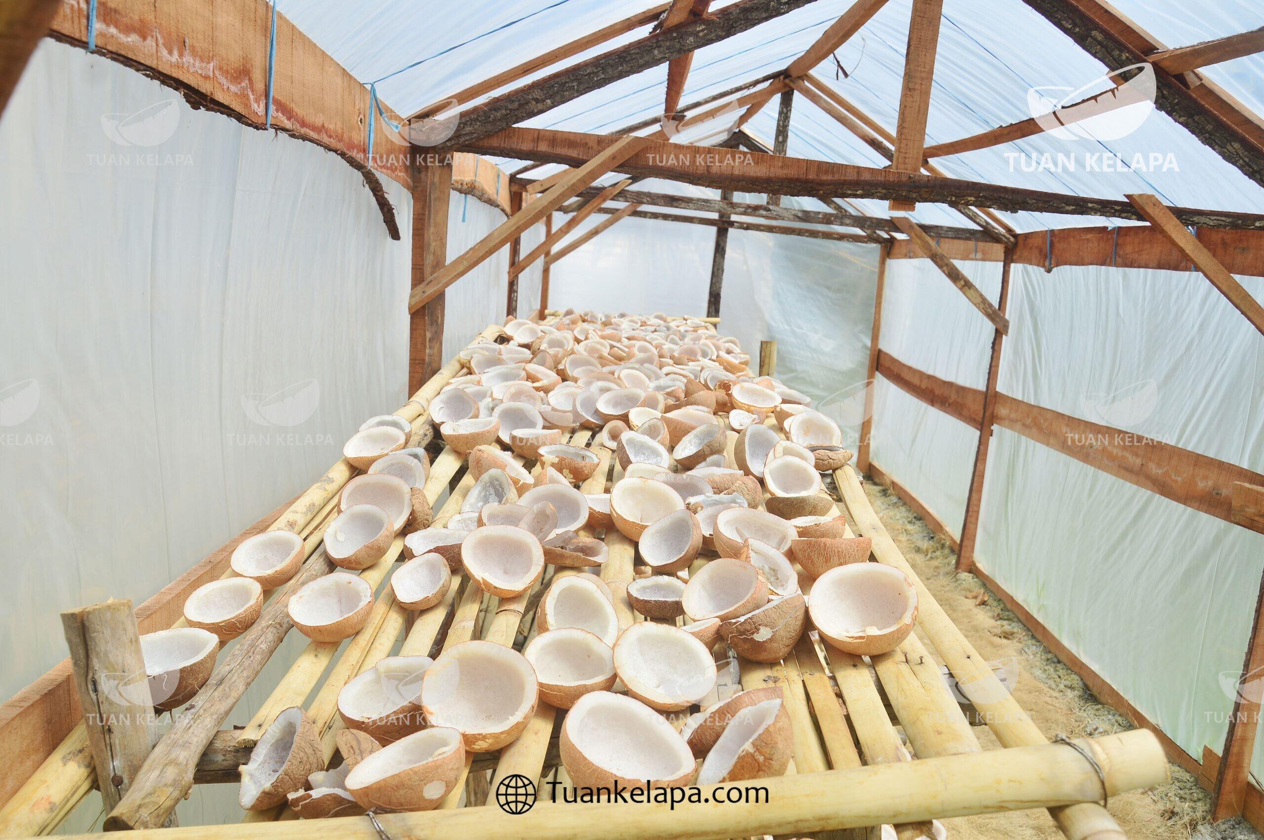 Langkah-Langkah dan Cara Membuat Kopra Putih