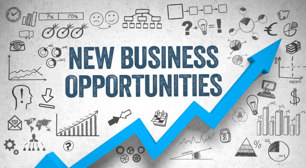 Panduan Membuka Peluang Bisnis Baru yang Menjanjikan