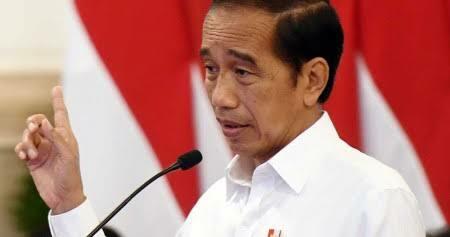 Indonesia Emas 2045: Jokowi Buka-bukaan Rencana Besar Bawa RI Jadi Negara Maju!