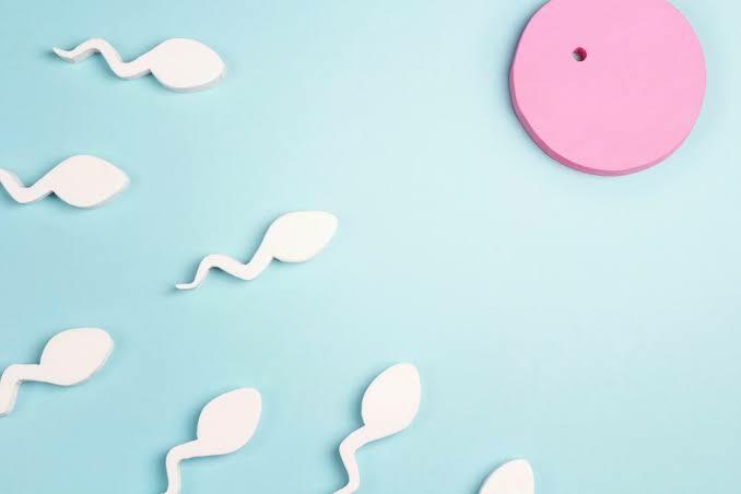 Penelitian: Pria yang Sering Main HP Memiliki Sperma Lebih Sedikit! Kamu Termasuk?