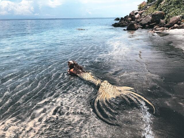 Manusia Setengah Hewan? Ulik Singkat Mitologi Mermaid. Siren, Harpy dan Centaur