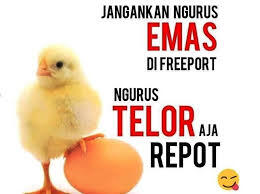 Efek Samping Makan Telur Berlebihan