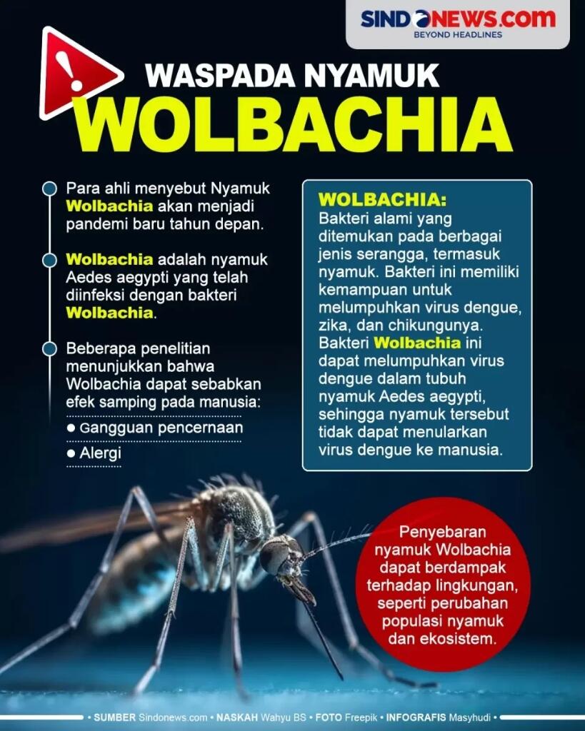 Kembali Viral Penyebaran Nyamuk Wolbachia, Apakah Akan Bermutasi?