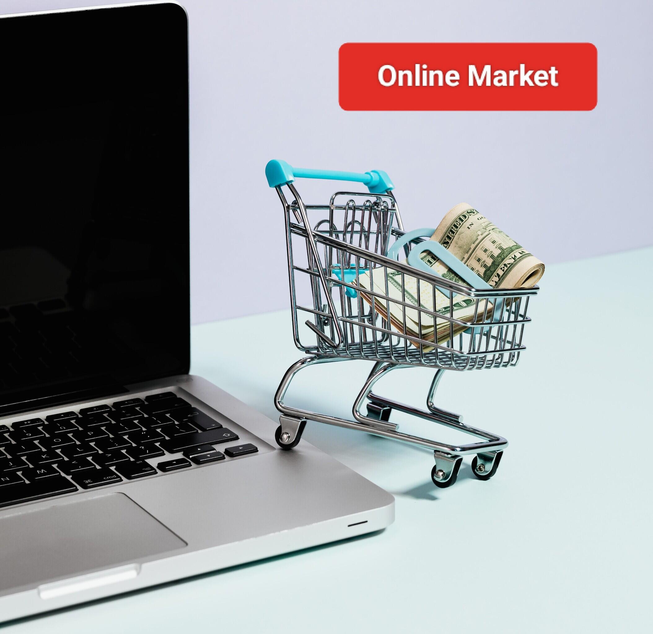 E-commerce Store: Set up an online store and sell products in a specific niche