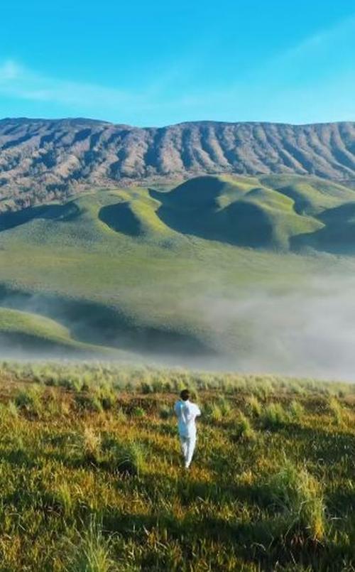 Padang Savana Gunung Bromo Makin Hijau dan Indah Usai Terbakar, Ternyata Ini