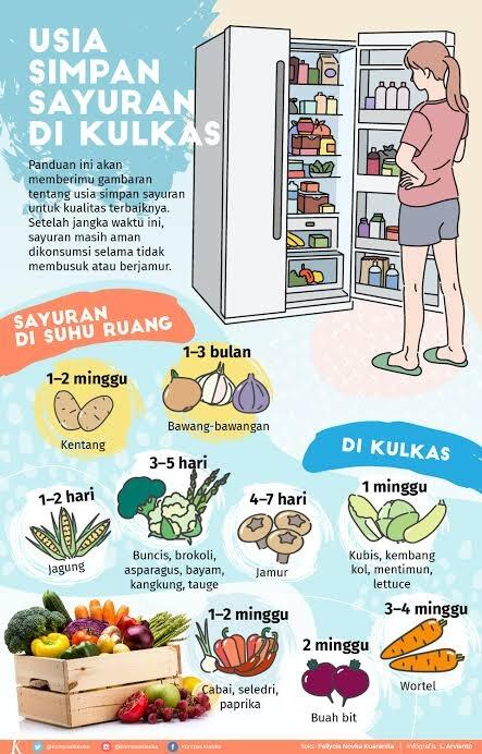 Cara Tepat Menyimpan Buah dan Sayur di Kulkas agar Tetap Segar dan Awet