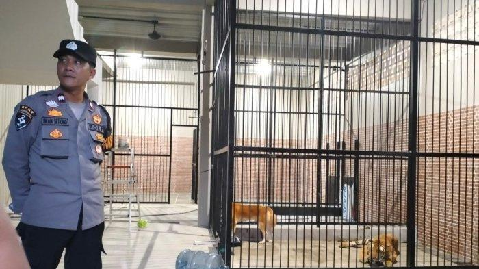Seorang asisten rumah tangga tewas setelah memberi makan harimau milik majikannya.