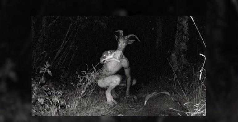 Skinwalker: Mitos atau Kenyataan?