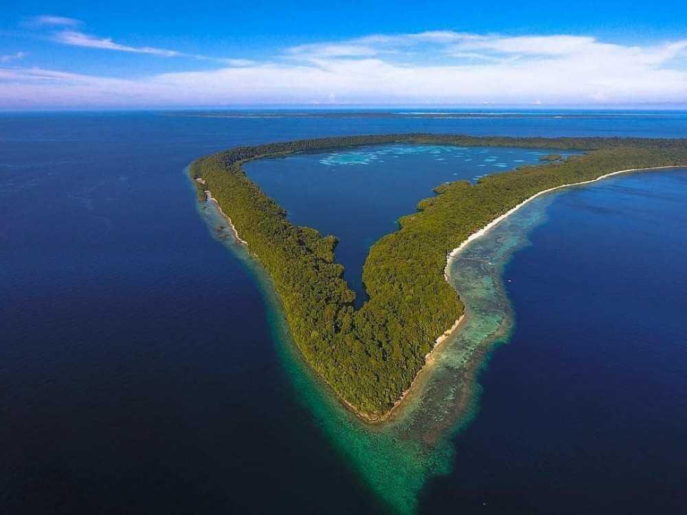 Eksplorasi Keindahan Danau Kakaban: Surga Tersembunyi di Pulau Kalimantan