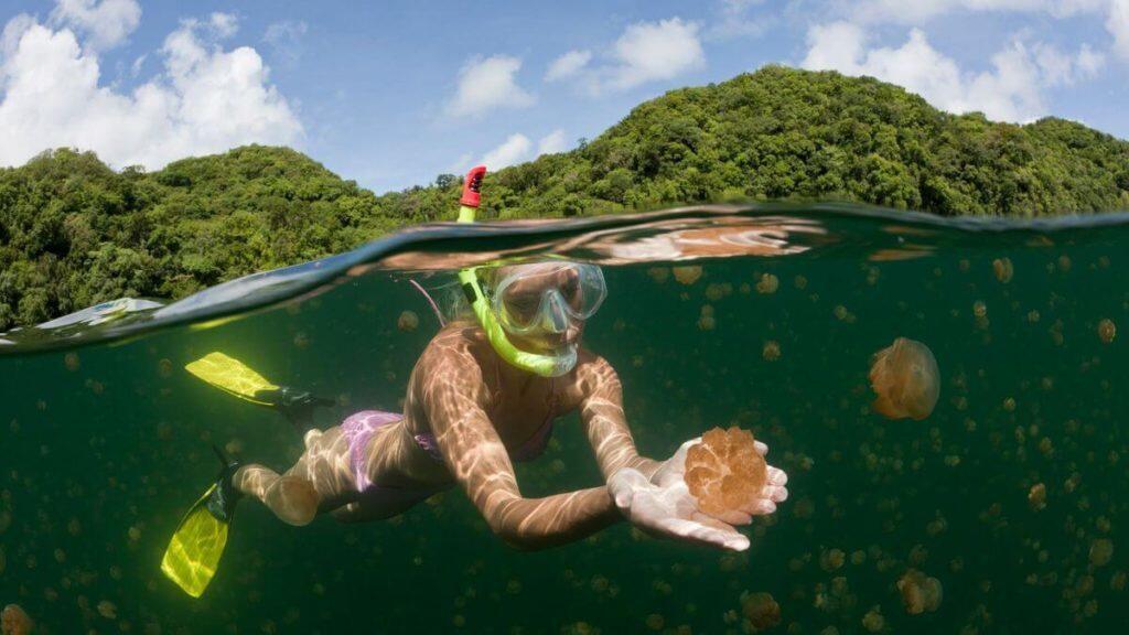 Eksplorasi Keindahan Danau Kakaban: Surga Tersembunyi di Pulau Kalimantan