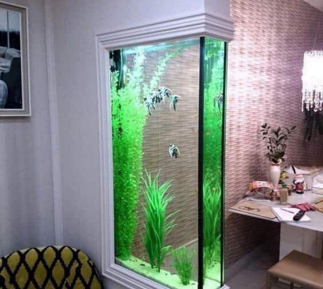 6 Desain Aquarium Ciamik ini Dapat Menjadi Inspirasimu untuk Desain Interior