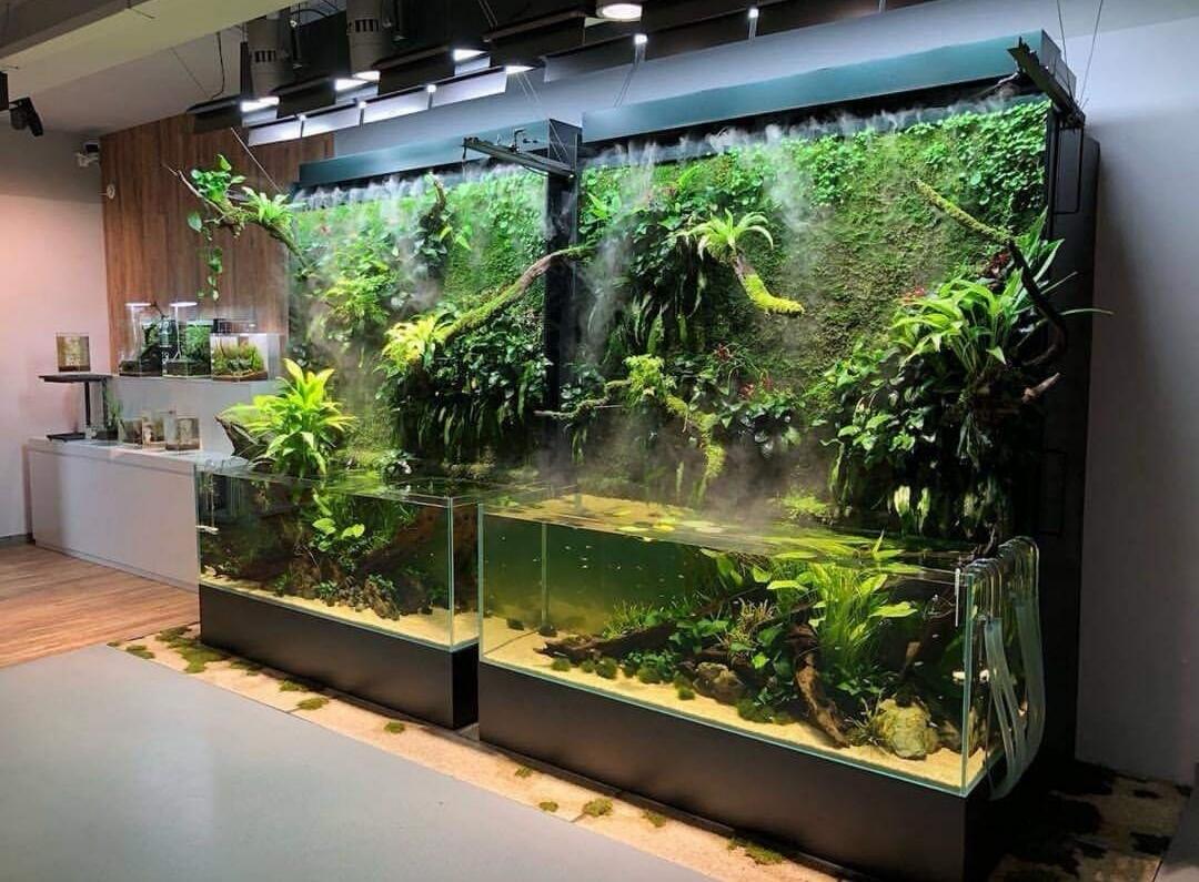 6 Desain Aquarium Ciamik ini Dapat Menjadi Inspirasimu untuk Desain Interior