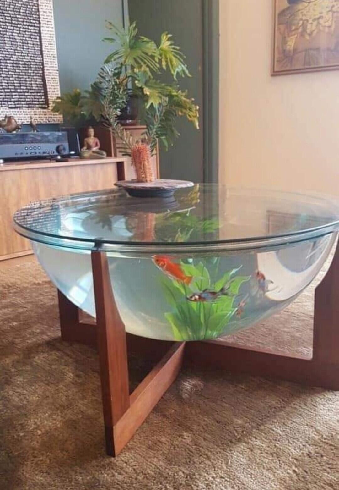 6 Desain Aquarium Ciamik ini Dapat Menjadi Inspirasimu untuk Desain Interior