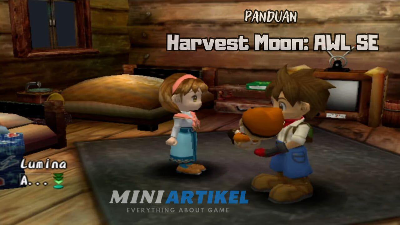 Panduan Harvest Moon A Wonderful Life Special Edition