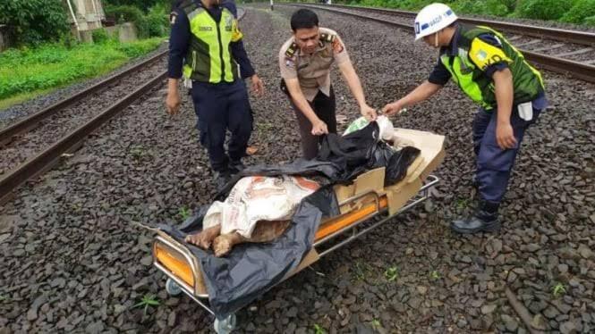 Pria di Brebes Tewas Tertabrak Kereta Api Argo Sindoro, Korban Diduga Bunuh Diri