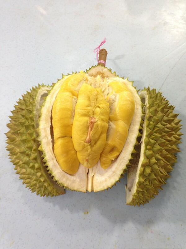 Fantastis! Durian Musang King Termahal di Dunia, 1 Butir Terjual Harga Rp 612 Juta