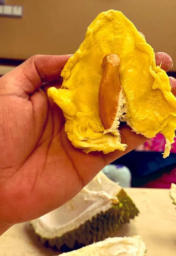 Fantastis! Durian Musang King Termahal di Dunia, 1 Butir Terjual Harga Rp 612 Juta