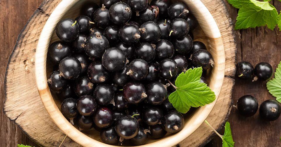 Semoga Gan/Sis Ga Terlambat Tau Manfaat Blackcurrant