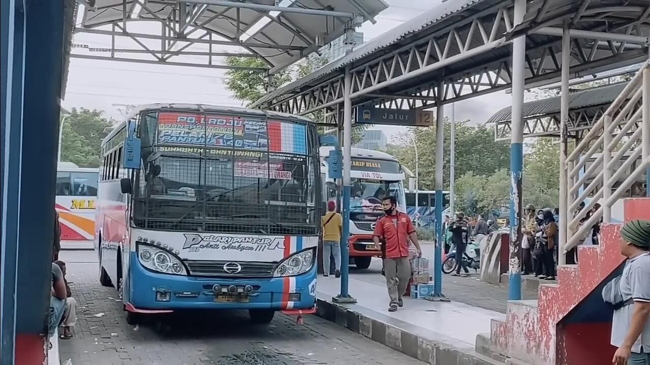 Surabaya-Banyuwangi: Tarifnya Dikenal Ngawur, Harus Bernyali Naik Bus di Rute Ini