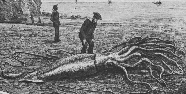 &quot;Legenda Kraken: Membedah Kebenaran di Balik Monster Laut&quot;