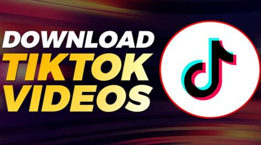 Tiktok downloader mp4
