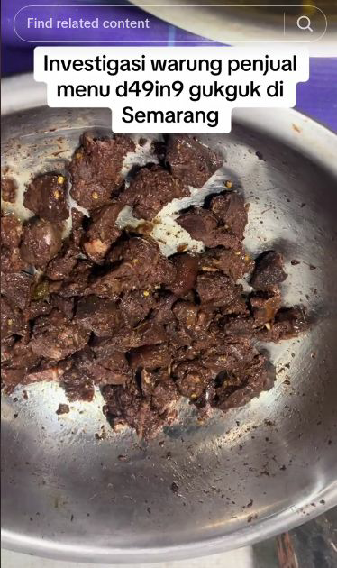 Viral Warung Makan Jual Semur Daging Anjing di Semarang, Wajarkah?