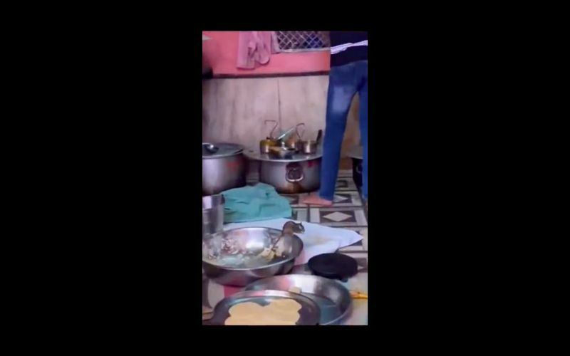 Warung Makan di India Ini Penuh Tikus Karena Dianggap Hewan Suci! Apa Dampaknya?