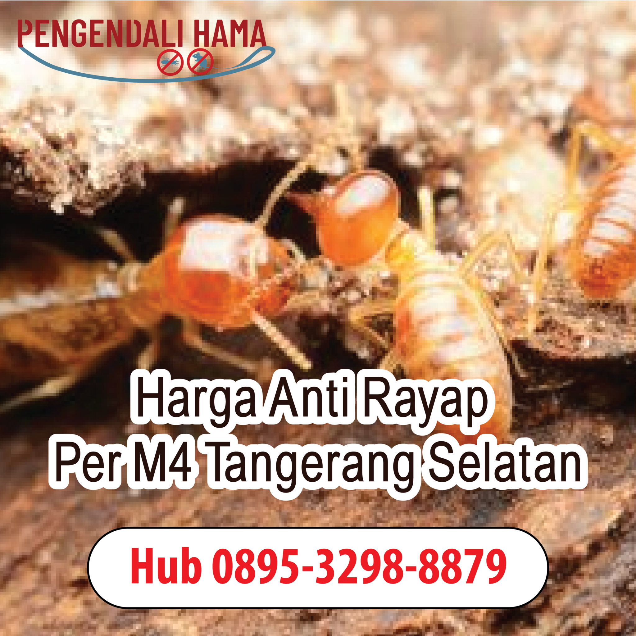 Wa 0895-3298-8879 , Jasa Anti Rayap Jakarta Selatan di Jakarta Pusat